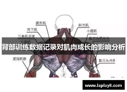 背部训练数据记录对肌肉成长的影响分析