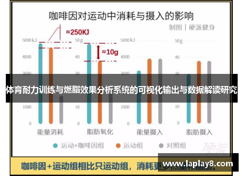 体育耐力训练与燃脂效果分析系统的可视化输出与数据解读研究