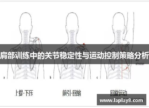肩部训练中的关节稳定性与运动控制策略分析